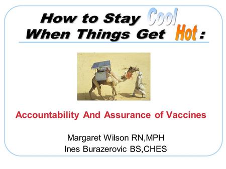 Accountability And Assurance of Vaccines Margaret Wilson RN,MPH Ines Burazerovic BS,CHES.