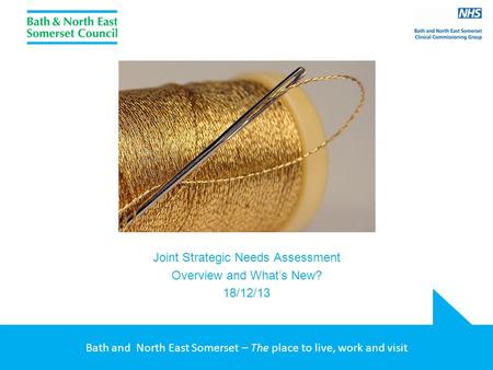 Bath and North East Somerset – The place to live, work and visit Joint Strategic Needs Assessment Overview and What’s New? 18/12/13.