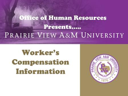 Office of Human Resources Presents….. Worker’s Compensation Information.