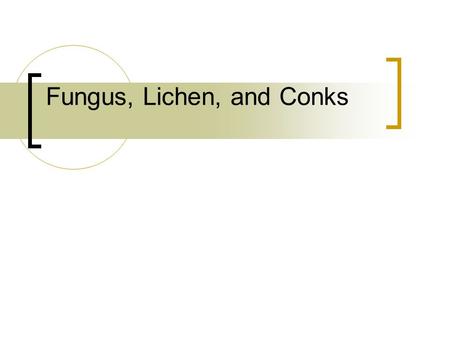 Fungus, Lichen, and Conks