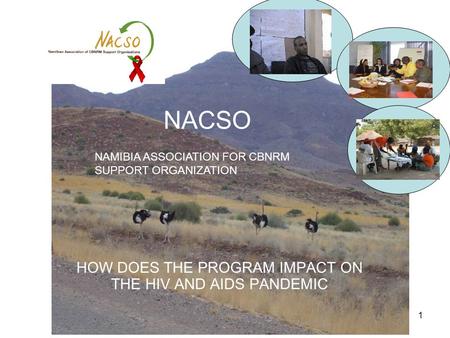 1 NACSO HOW DOES THE PROGRAM IMPACT ON THE HIV AND AIDS PANDEMIC NAMIBIA ASSOCIATION FOR CBNRM SUPPORT ORGANIZATION.