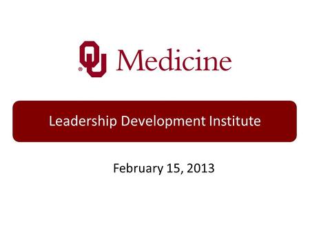 Leadership Development Institute February 15, 2013.