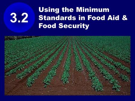 Using the Minimum Standards in Food Aid & Food Security 3.2.