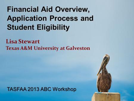 Financial Aid Overview, Application Process and Student Eligibility Lisa Stewart Texas A&M University at Galveston TASFAA 2013 ABC Workshop.