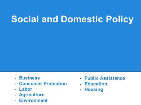 Social and Domestic Policy Business Consumer Protection Labor Agriculture Environment Public Assistance Education Housing.