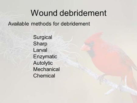 Wound debridement Available methods for debridement Surgical Sharp Larval Enzymatic Autolytic Mechanical Chemical.