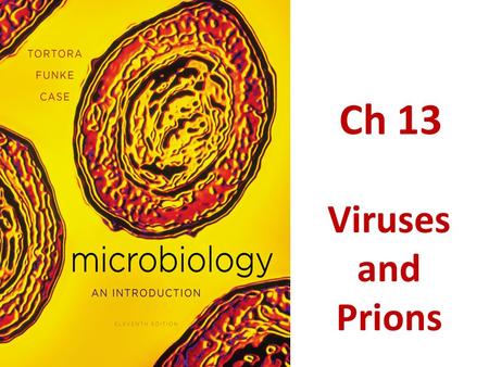 Ch 13 Viruses and Prions.