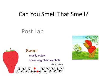 Can You Smell That Smell? Post Lab. Can You Smell That Smell? Learning Objectives Learn how to heat chemicals safely Learn how to work with dangerous.