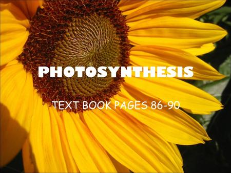 PHOTOSYNTHESIS TEXT BOOK PAGES 86-90. BOTH muscle and plant cells need energy to live. –Muscle cells need energy to help you move –plant cells need energy.