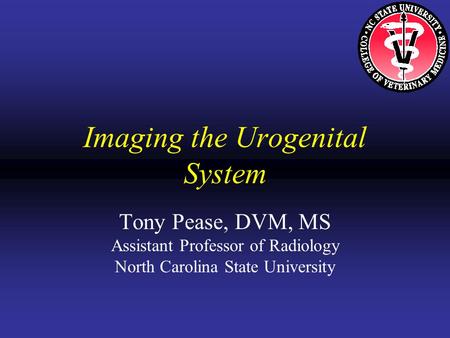 Imaging the Urogenital System