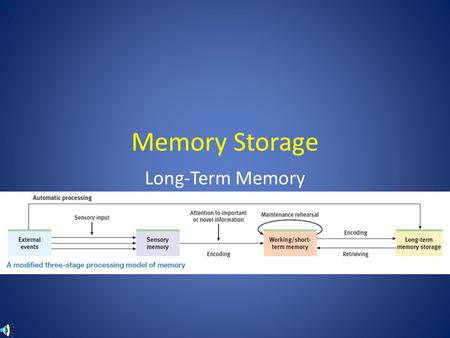 Memory Storage Long-Term Memory.