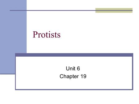 Protists Unit 6 Chapter 19.