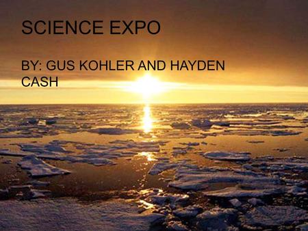 SCIENCE EXPO BY: GUS KOHLER AND HAYDEN CASH.