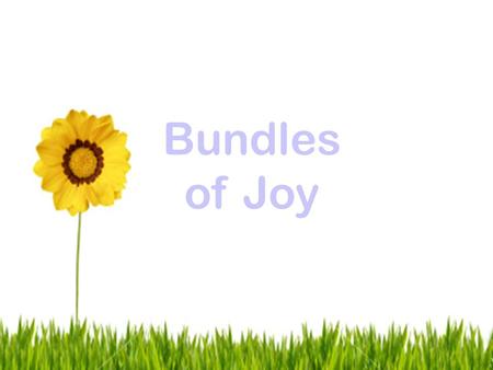 . Bundles of Joy. + = Production Report CARMEL MC LINDEN.