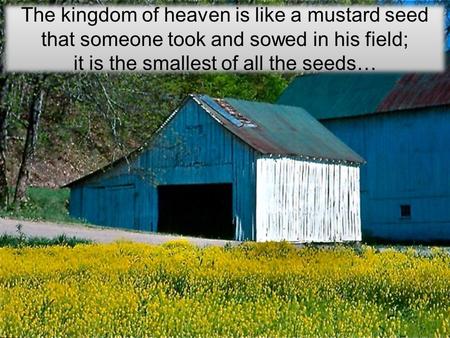 it is the smallest of all the seeds…