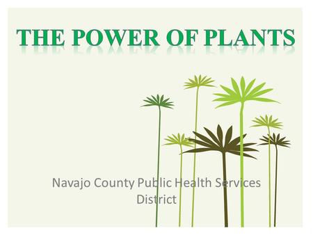Navajo County Public Health Services District. Cherilyn Yazzie, Program Manager 928-524-4750 ext. 18.
