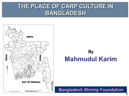 1 THE PLACE OF CARP CULTURE IN BANGLADESH Bangladesh Shrimp Foundation By Mahmudul Karim.