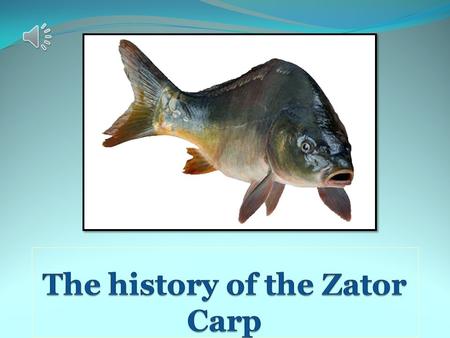 The carp isn’t our native fish! Domesticated in the Danube Delta and China in the fifth century BC.
