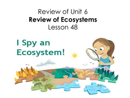 Review of Unit 6 Review of Ecosystems Lesson 48