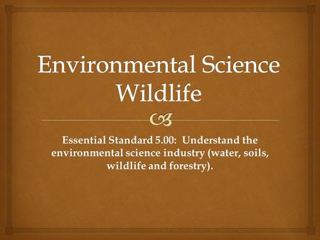 Essential Standard 5.00: Understand the environmental science industry (water, soils, wildlife and forestry).