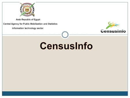 Arab Republic of Egypt Central Agency for Public Mobilization and Statistics information technology sector.