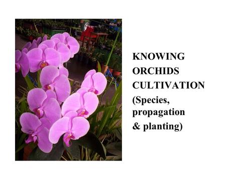 KNOWING ORCHIDS CULTIVATION (Species, propagation & planting)