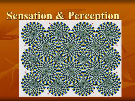 Sensation & Perception. The Lion King Political Subliminal Message  ection/index.php?nav_action=election&nav_su.