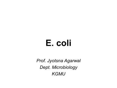 E. coli Prof. Jyotsna Agarwal Dept. Microbiology KGMU.