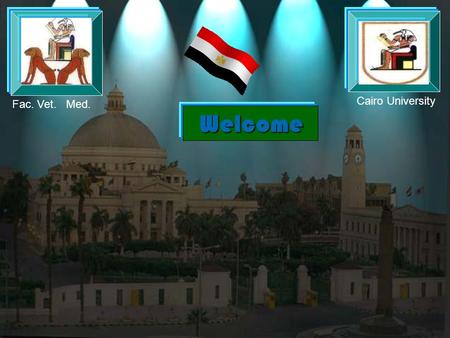 Welcome Cairo University Fac. Vet. Med. Paratuberculosis in Egypt and Arab Area (Infection &Economics) Diea Abo El-Hassan Head of Medicine & Infectious.