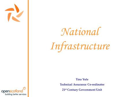 National Infrastructure Tina Yule Technical Assurance Co-ordinator 21 st Century Government Unit.