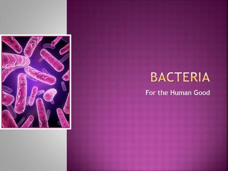 Bacteria For the Human Good.