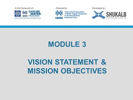 In the Framework of: Financed by: Developed by: MODULE 3 VISION STATEMENT & MISSION OBJECTIVES.