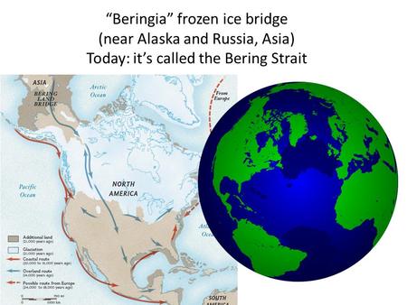 “Beringia” frozen ice bridge (near Alaska and Russia, Asia) Today: it’s called the Bering Strait.
