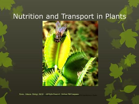Nutrition and Transport in Plants Raven - Johnson - Biology: 6th Ed. - All Rights Reserved - McGraw Hill Companies Copyright © McGraw-Hill Companies Permission.