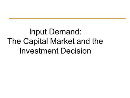 Input Demand: The Capital Market and the Investment Decision.
