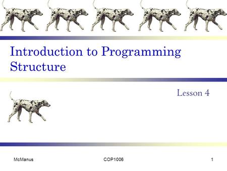 Introduction to Programming Structure Lesson 4 McManusCOP10061.