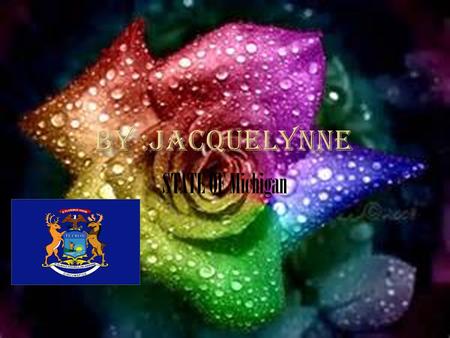 BY :JACQUELYNNE STATE OF Michigan.
