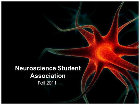 Neuroscience Student Association Fall 2011 What is the NSA? The Neuroscience Student Association is an organization dedicated to providing its members.