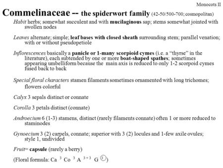 Commelinaceae -- the spiderwort family (42-50/ ; cosmopolitan)