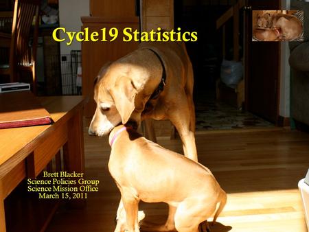 Cycle19 Statistics Brett Blacker Science Policies Group Science Mission Office March 15, 2011.