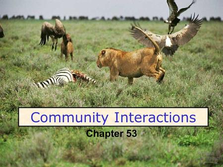 Community Interactions Chapter 53. Community Ecology Community – all the species in a given location at a given time Habitat the physical environment.
