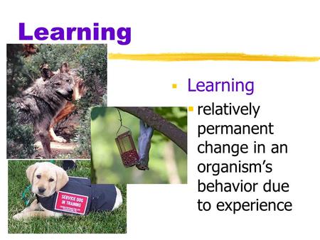 Learning  Learning  relatively permanent change in an organism’s behavior due to experience.