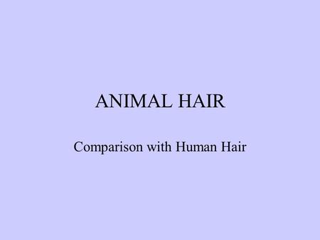 ANIMAL HAIR Comparison with Human Hair. ANIMAL HAIRS Animal hairs are classified into the following three basic types. Guard hairs that form the outer.