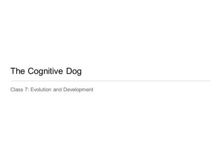 The Cognitive Dog Class 7: Evolution and Development.