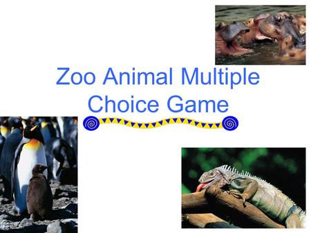 Zoo Animal Multiple Choice Game. Directions This is a multiple choice game. The point of the game is to match the correct multiple choice answer with.