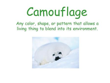 Camouflage Any color, shape, or pattern that allows a living thing to blend into its environment.
