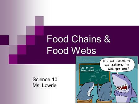 Food Chains & Food Webs Science 10 Ms. Lowrie. Food Chains Show the flow of energy through an ecosystem Linear pictures of how energy moves (is transferred)