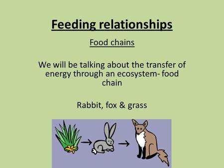 Feeding relationships Food chains We will be talking about the transfer of energy through an ecosystem- food chain Rabbit, fox & grass.
