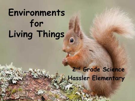 Environments for Living Things