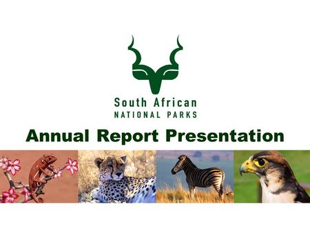Annual Report Presentation. Contents  Vision and Mission Statements  SANParks Business Architecture  Conservation  Transfrontier Conservation  Tourism.